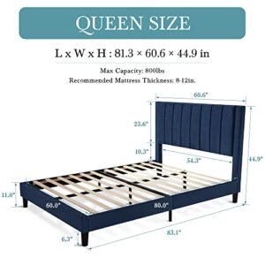 HOOMIC Queen Size Platform Bed Frame with Velvet Upholstered Plush Vertical Channel Headboard, No Box Spring Needed, Easy Assembly,Navy Blue