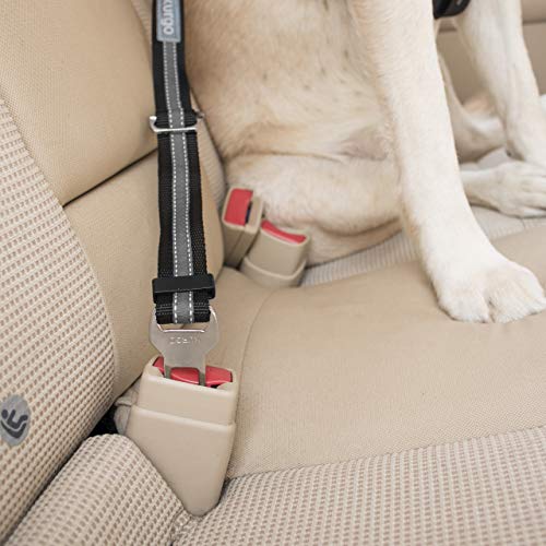 Kurgo 2 Pack Direct to Seatbelt Tether for Dogs. Universal Car Seat Belt for Pets, Adjustable Dog Safety Belt, Carabiner Clip, Use with Any Pet Harness, Charcoal Grey