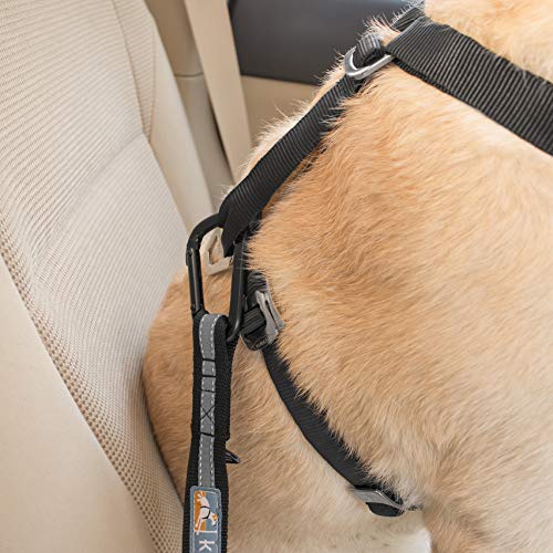 Kurgo 2 Pack Direct to Seatbelt Tether for Dogs. Universal Car Seat Belt for Pets, Adjustable Dog Safety Belt, Carabiner Clip, Use with Any Pet Harness, Charcoal Grey