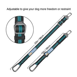 Kurgo 2 Pack Direct to Seatbelt Tether for Dogs. Universal Car Seat Belt for Pets, Adjustable Dog Safety Belt, Carabiner Clip, Use with Any Pet Harness, Charcoal Grey