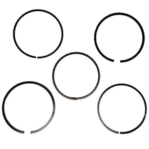 JINFANNIBI Cylinder Piston Ring Gasket Top End Rebuild Kit Compatible for Honda Recon 250 Sportrax 250 TRX250X TRX250EX TRX250TM TRX250TE 1997-2019