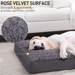 Dog Crate Bed Waterproof Dog Beds for Medium Dogs Rose Velvet Soft Fluffy Washable Dog Bed with Removable Cover & Anti-Slip Bottom, 35 x 22 Inch, Gray