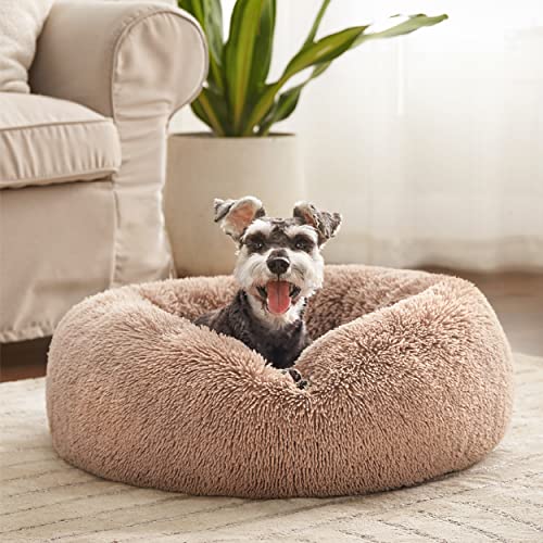 Bedsure Calming Dog Bed for Small Dogs - Donut Washable Small Pet Bed, 23 inches Anti Anxiety Round Fluffy Plush Faux Fur Large Cat Bed, Fits up to 25 lbs Pets, Camel