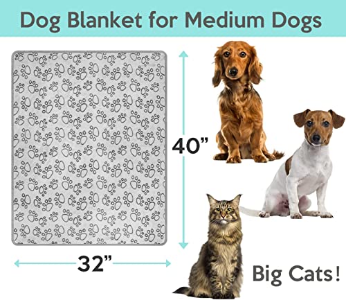 Stuffed Premium Soft Dog Blanket, with Flannel Grey Cute Paw Print, 40 * 32 inches