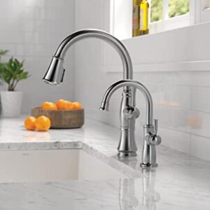 DELTA FAUCET 1960LF-H-AR Traditional Beverage, Arctic Stainless