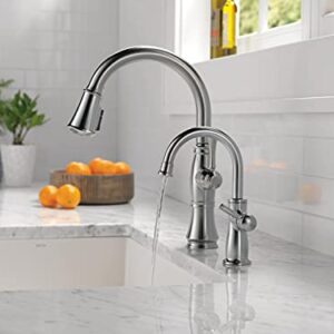 DELTA FAUCET 1960LF-H-AR Traditional Beverage, Arctic Stainless