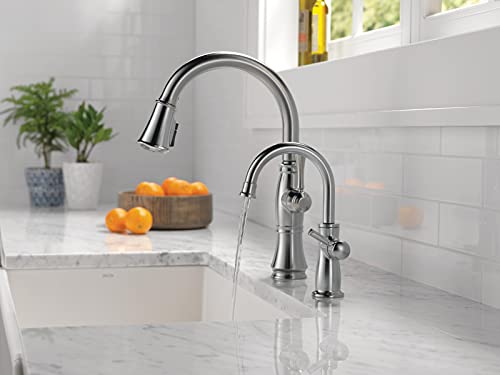 DELTA FAUCET 1960LF-H-AR Traditional Beverage, Arctic Stainless