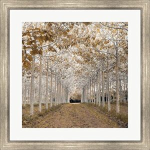 white gold by assaf frank framed art print wall picture, silver scoop frame, 28 x 28 inches