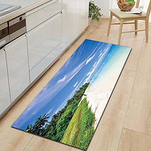 OPLJ Home Non-Slip Kitchen Carpet Entrance Door mat Bedroom Floor Decoration Corridor Balcony Living Room Carpet mat A5 50x160cm