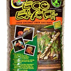 Zoo Med (2 Pack) Eco Earth Loose Coconut Fiber Substrate for Reptiles 8 quarts