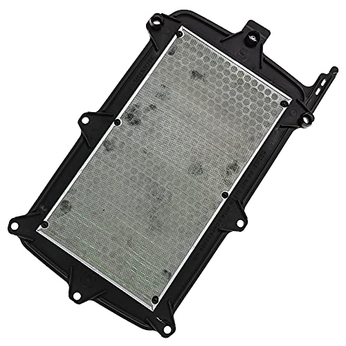 Honda Talon 1000 OEM Air Filter 17215-HL6-A00