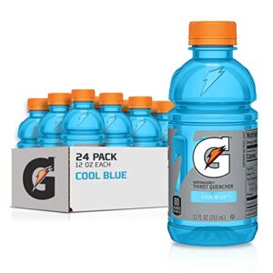 gatorade thirst quencher, cool blue, 12 ounce bottles (pack of 24)