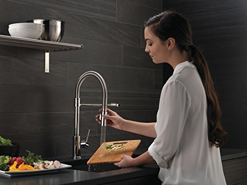 Delta Faucet Trinsic Pro Commercial Style Kitchen Faucet Chrome, Chrome Kitchen Faucets with Pull Down Sprayer, Kitchen Sink Faucet, Faucet for Kitchen Sink with Magnetic Docking, Chrome 9659-DST