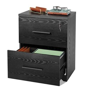 devaise 2-drawer wood lateral file cabinet with lock for office home, black