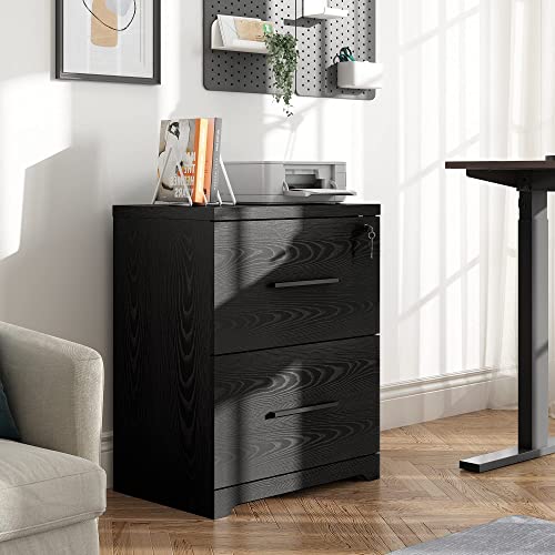 DEVAISE 2-Drawer Wood Lateral File Cabinet with Lock for Office Home, Black