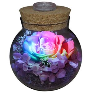 preserved real roses with colorful mood light wishing bottle,eternal rose，never withered flowers,for bedroom party table decor, christmas anniversary,valentine’s,mother’s day, roliys(multi)