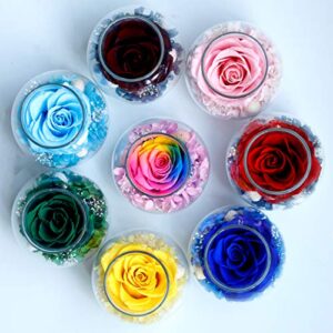 Preserved Real Roses with Colorful Mood Light Wishing Bottle,Eternal Rose，Never Withered Flowers,for Bedroom Party Table Decor, Christmas Anniversary,Valentine's,Mother's Day, roliys(Multi)