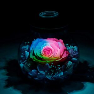 Preserved Real Roses with Colorful Mood Light Wishing Bottle,Eternal Rose，Never Withered Flowers,for Bedroom Party Table Decor, Christmas Anniversary,Valentine's,Mother's Day, roliys(Multi)