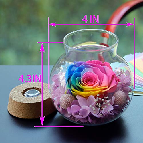 Preserved Real Roses with Colorful Mood Light Wishing Bottle,Eternal Rose，Never Withered Flowers,for Bedroom Party Table Decor, Christmas Anniversary,Valentine's,Mother's Day, roliys(Multi)