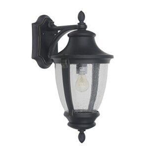 home decorators collection wilkerson 1-light black outdoor wall mount