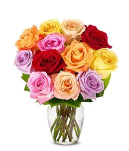 from you flowers – one dozen rainbow roses with free vase (fresh flowers)
