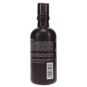 Aveda Mens Pure-Formance Shampoo for Men, 10-Ounce