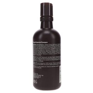 Aveda Mens Pure-Formance Shampoo for Men, 10-Ounce