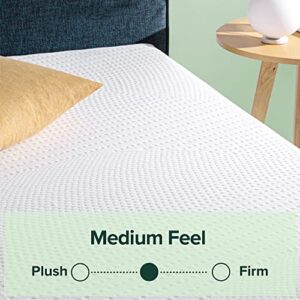 ZINUS 10 Inch Cooling Essential Foam Mattress / Affordable Mattress / Bed-in-a-Box / CertiPUR-US Certified, Queen