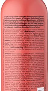 Aveda Nutriplenish Deep Moisture Conditioner, 34 Fl Oz