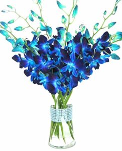 eflowerwholesale – premium cut blue orchids (10 stems orchid with rhinestone mesh ribbon vase)