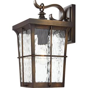 home decorators collection 23482 1-light golden bronze outdoor 7.5 in. wall mount lantern with clear water glass