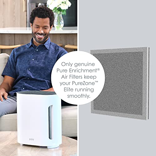 Pure Enrichment Genuine 3-in-1 True HEPA Replacement Filter for the PureZone Air Purifier - 2 Pack (PEAIRPLG)