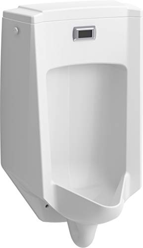 Kohler 2590-0 Bardon Urinal, White