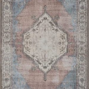 Adiva Rugs Machine Washable Area Rug with Non Slip Backing for Living Room, Bedroom, Bathroom, Kitchen, Printed Persian Vintage Home Decor, Floor Decoration Carpet Mat (Multi, 2' x 3')