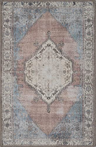 Adiva Rugs Machine Washable Area Rug with Non Slip Backing for Living Room, Bedroom, Bathroom, Kitchen, Printed Persian Vintage Home Decor, Floor Decoration Carpet Mat (Multi, 2' x 3')
