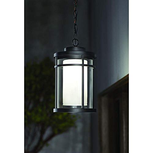 Home Decorators Collection Black Outdoor LED Hanging Light