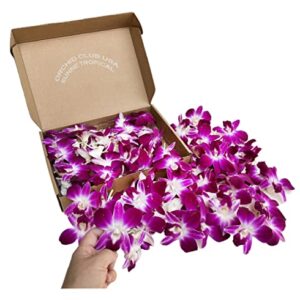 Sunne Tropical OrchidClub USA Loose Bloom Fresh Orchid Flower Head DIY Lei, food & drink decoration (100 PURPLE)