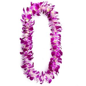 Sunne Tropical OrchidClub USA Loose Bloom Fresh Orchid Flower Head DIY Lei, food & drink decoration (100 PURPLE)