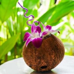 Sunne Tropical OrchidClub USA Loose Bloom Fresh Orchid Flower Head DIY Lei, food & drink decoration (100 PURPLE)