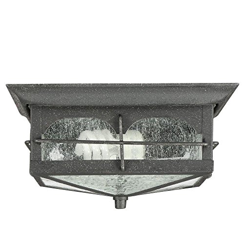 Home Decorators Collection Flushmount 2-Light Outdoor Aged Iron Lantern