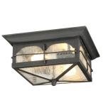 Home Decorators Collection Flushmount 2-Light Outdoor Aged Iron Lantern