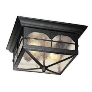 Home Decorators Collection Flushmount 2-Light Outdoor Aged Iron Lantern