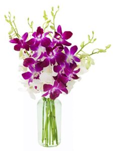 kabloom prime overnight delivery – exotic opal orchid  bouquet of purple and white orchids from thailand with vase