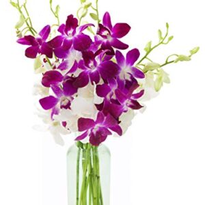 Kabloom PRIME OVERNIGHT DELIVERY - Exotic Opal Orchid  Bouquet of Purple and White Orchids from Thailand with Vase