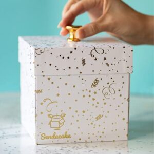 Send a Cake Explosion Box Gift with Flying Butterfly Surprise- Birthday, Holiday, Special Occasion – Birthday Treat for Women, Men, Adults, Kids