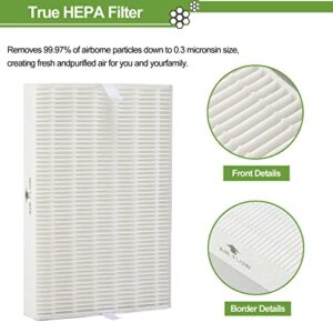 Smilyan 6 Pack Hpa300 HEPA Replacement Filter R for Honeywell HPA300 HPA200 HPA100 HPA090 Series Air Purifier, Compared to HRF-R3 HRF-R2 HRF-R1 (6 Hepa + 8 Carbon)