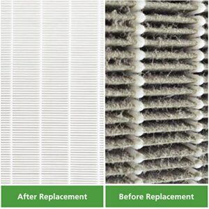 115115 Replacement Filters A for Winix PlasmaWaveC535, 5300-2, 6300-2, 5300, 6300, P300, AM90, 9000, 5000, 5000B, C909, 9800 Air Purifier, 2 x True HEPA Size 21 Filter Plus 8 x Carbon Pre-Filters