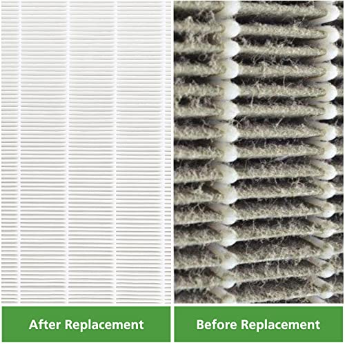 115115 Replacement Filters A for Winix PlasmaWaveC535, 5300-2, 6300-2, 5300, 6300, P300, AM90, 9000, 5000, 5000B, C909, 9800 Air Purifier, 2 x True HEPA Size 21 Filter Plus 8 x Carbon Pre-Filters