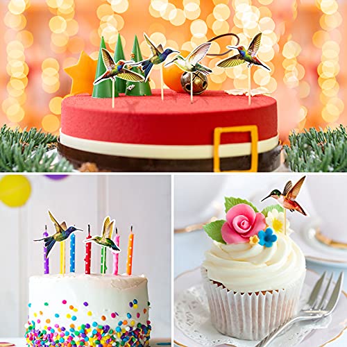 24 Pieces Hummingbird Cupcake Topper Hummingbird Cake Bird Decoration Cupcake Picks Toothpicks with Hummingbird Shape Hummingbird Cake Bird Decoration for Birthday Christmas Party Cake Decoration