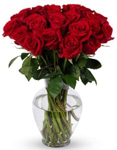 benchmark bouquets 2 dozen red roses, with vase (fresh cut flowers)